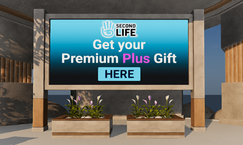 Premium / Premium Plus: textura de regalos premium